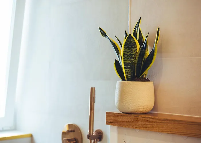 Casa Boga بويرتو ذيل كارمين